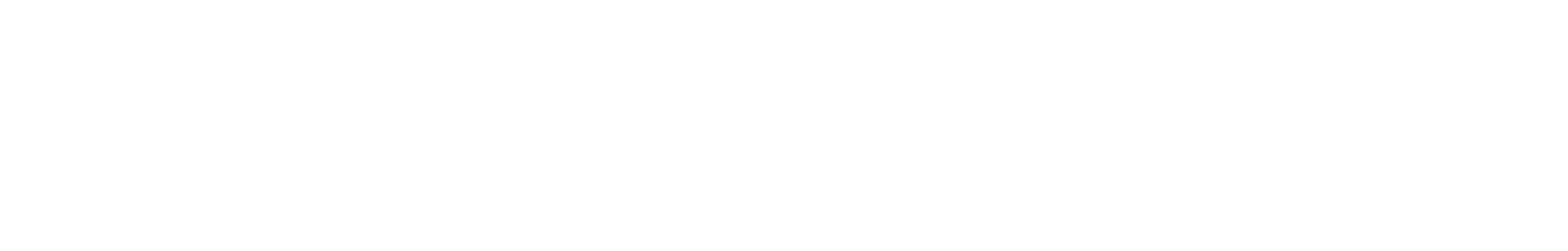 Meester in Techniek